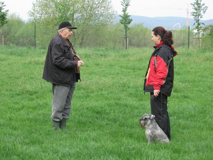 komořany2.jpg
