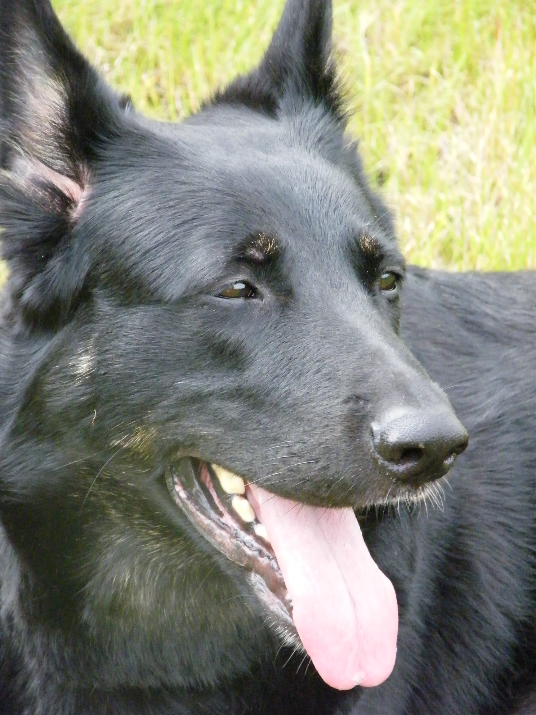 DSCF5177.JPG