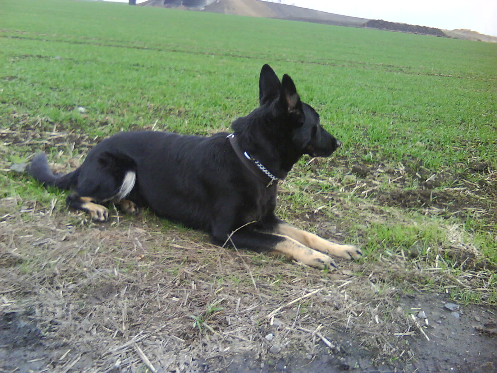DSC00007.JPG